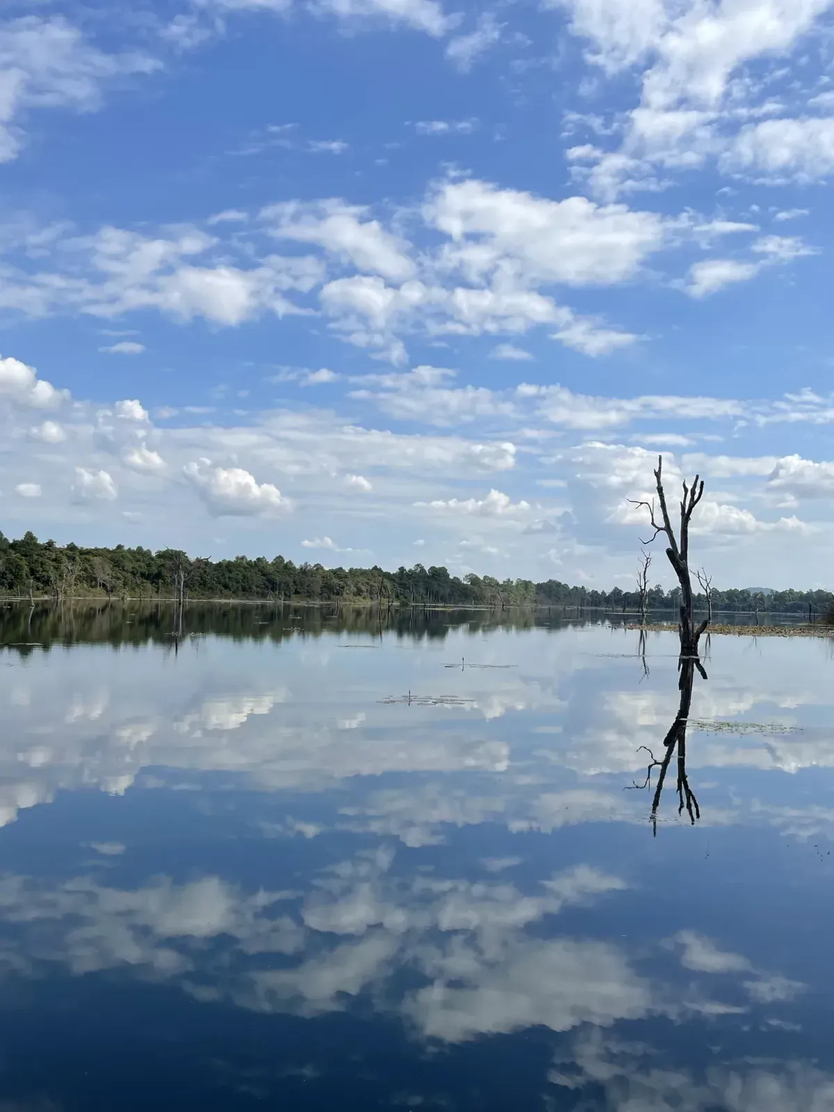 Paysage naturel avec un lac reflétant un ciel bleu lumineux et des nuages blancs.