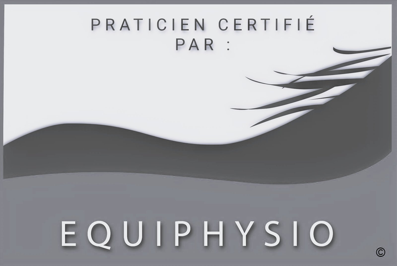 Logo de l'école Equiphysio avec la mention "praticien certifié par"