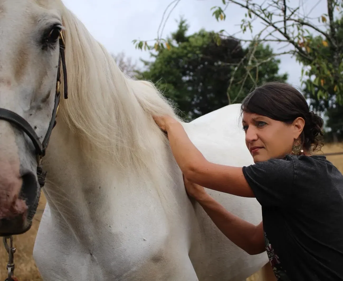Praticienne posant les mains sur le garrot et le haut de l'épaule d'un cheval gris tandis que leurs regards mutuels sont portés l’un vers l’autre.