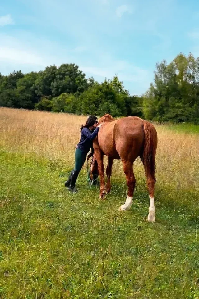 Relation humain-animal : cavalière tenant son cheval en licol dans un pré, une main posée sur son épaule et embrassant la base du garrot.