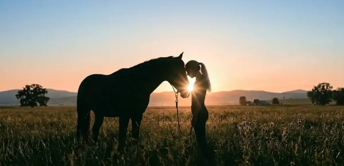 Femme et cheval front contre front, reliés par un rayon de soleil symbolisant leur connexion