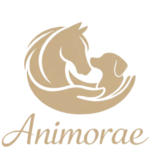 Animorae