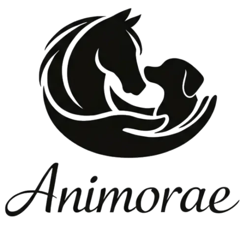 Animorae