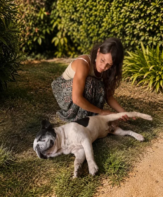 Praticienne étirant le membre postérieur d'un chien allongé sur le dos lors d'une séance de massage canin.